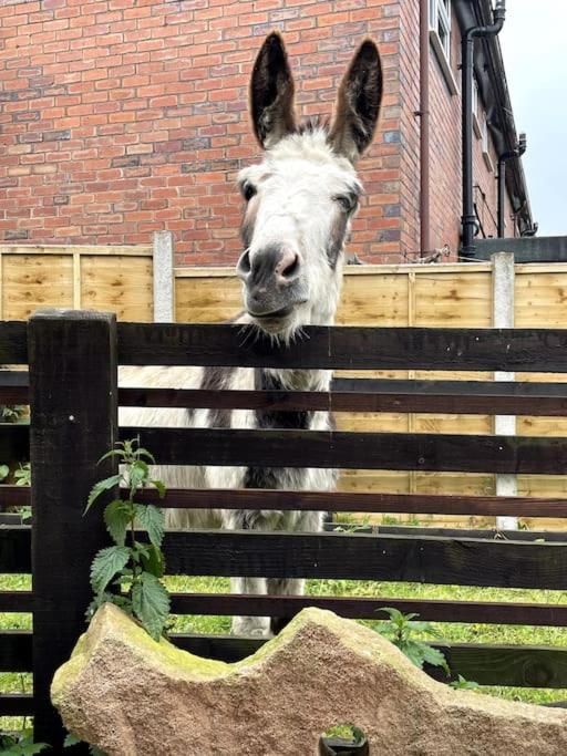 4 Bedroom - Sleep 9 Home In Cheadle Staffordshire - Alton Towers Polar Express Dimmingsdale Peak District Trentham Gardens Water World Extérieur photo