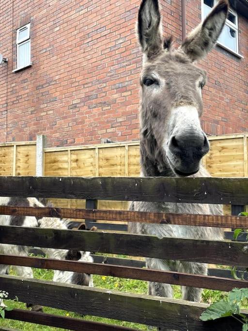 4 Bedroom - Sleep 9 Home In Cheadle Staffordshire - Alton Towers Polar Express Dimmingsdale Peak District Trentham Gardens Water World Extérieur photo